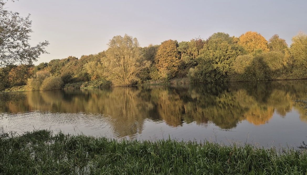 Autumn trees reflected in a Northamptonshire lake